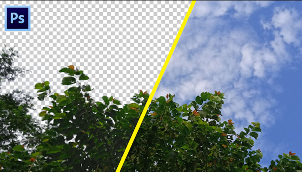 4 Cara Hapus Background di Photoshop yg Mudah, Cepat & Rapi