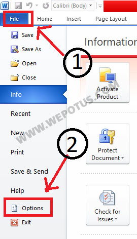 Cara Menampilkan Tab Developer Di Microsoft Word 2010